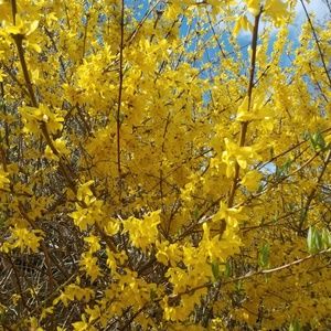 Meet your Posher, Michele